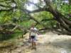 mangroves_small.jpg
